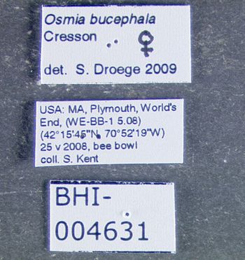 Media type: image;   Entomology 610952 Aspect: labels